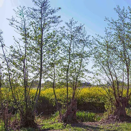 Het Polderhuisje Strijen