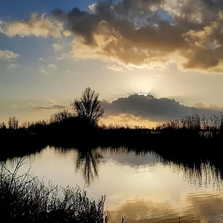 Het Polderhuisje Vakantiehuis