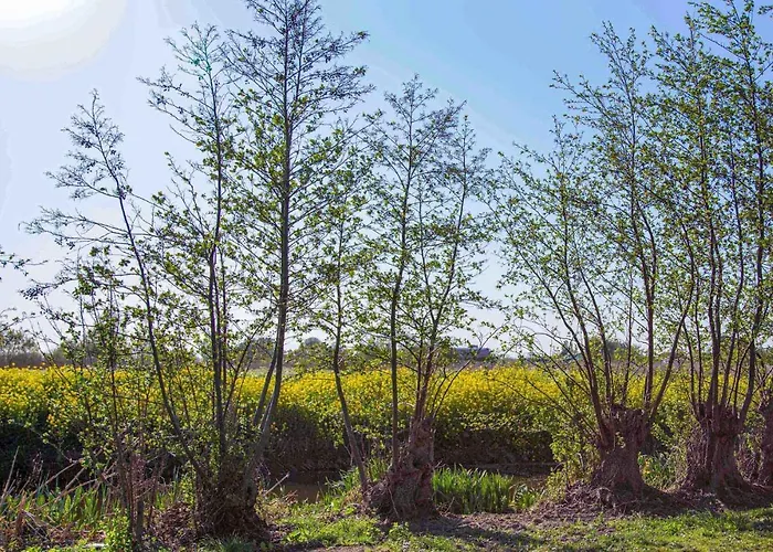 Het Polderhuisje Strijen